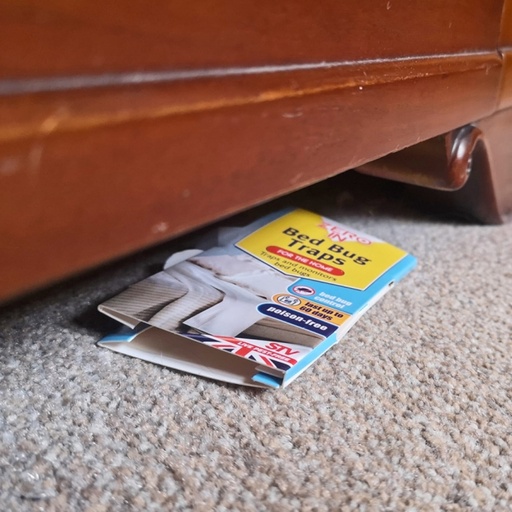 STV - Bed Bug Killer Kit