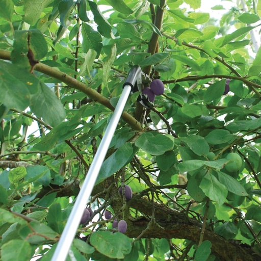 STV - Grip N' Grab Picker