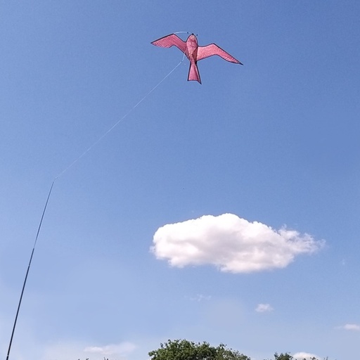 STV - Hawk Kite Bird Scarer