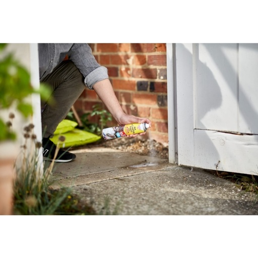 STV - Ant & Crawling Insect Killer - 300ml Aerosol