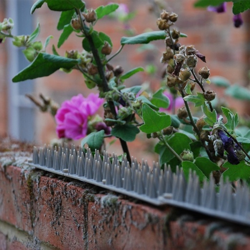 STV - Prickle Strip Garden Fence Topper - 45cm