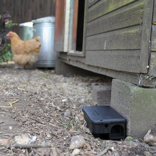 STV - Rat & Mouse Bait Station