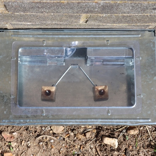 STV - Ready-Baited Live Multi-Catch Mouse Trap