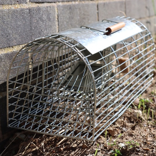 STV - Ready-Baited Multi-Catch Rat Cage Trap