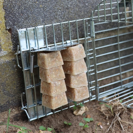 STV - Ready-Baited Multi-Catch Rat Cage Trap
