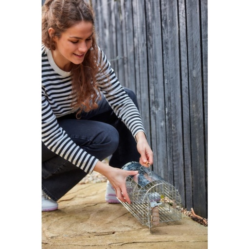 STV - Ready-Baited Multi-Catch Rat Cage Trap