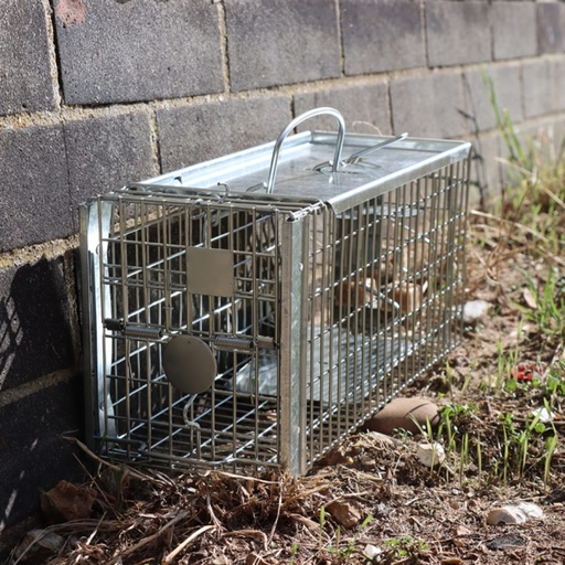 STV - Ready-Baited Rat Cage Trap