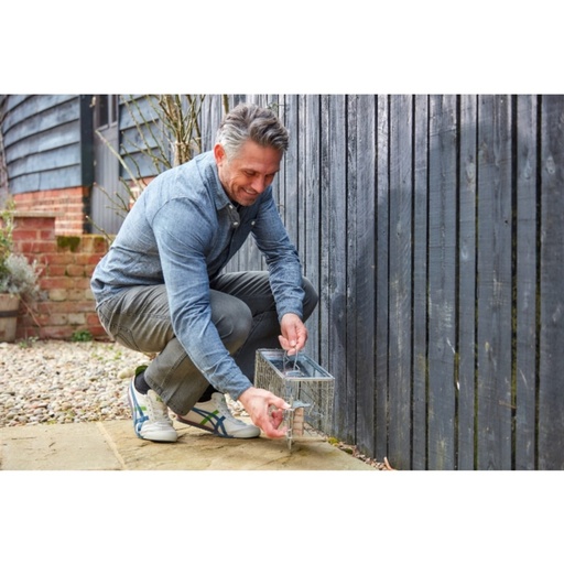 STV - Ready-Baited Rat Cage Trap