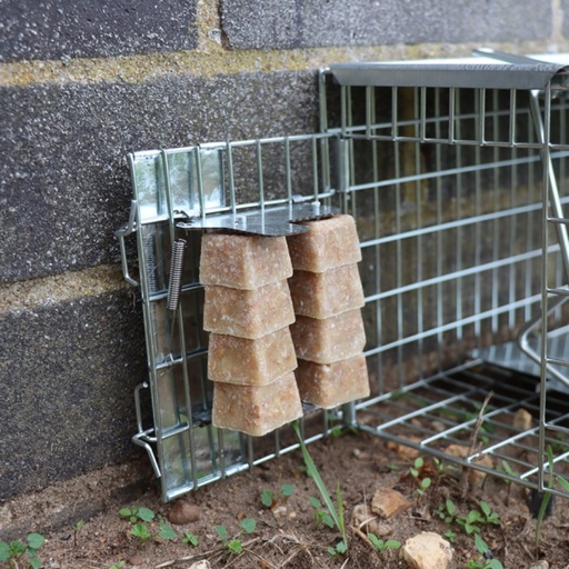STV - Ready-Baited Rat Cage Trap