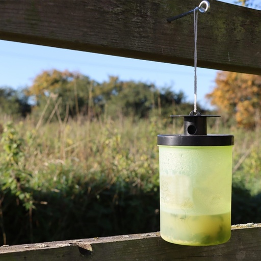 STV - Ready-Baited Wasp Trap
