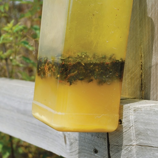 STV - Ready-Baited XL Outdoor Fly Trap