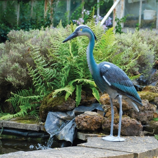 STV - Heron