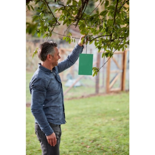 STV - Horse Chestnut Leaf Miner Trap Refill - Twinpack