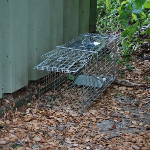 STV - Live Animal Trap - Large Cage