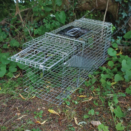 STV - Live Animal Trap - Large Cage