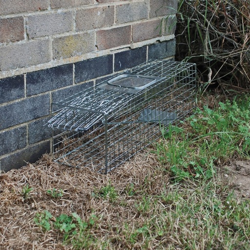 STV - Live Animal Trap - Medium Cage