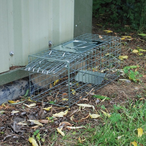 STV - Live Animal Trap - Medium Cage