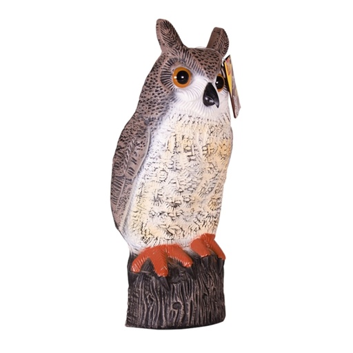 STV - Owl