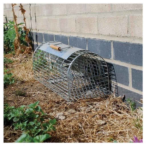 STV - Live Multi-Catch Rat Trap