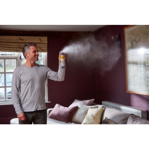 STV - Fly & Wasp Killer - 300ml Aerosol