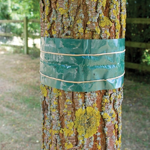 STV - Fruit Tree Grease Band - 1.75m