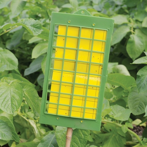 STV - Greenhouse & Garden Insect Catcher Kit