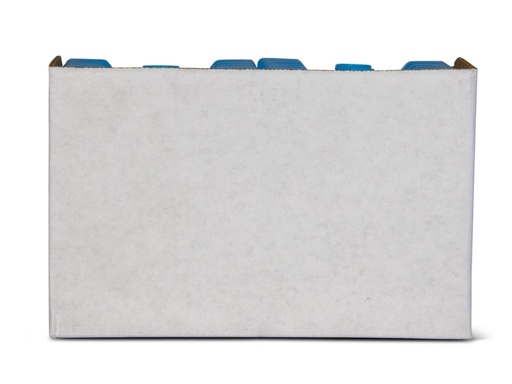 Igloo - Ice Block Small - Blue