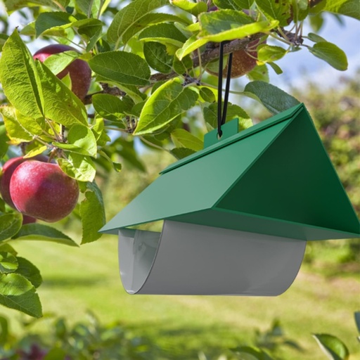 STV - Box Tree Moth Trap Refill