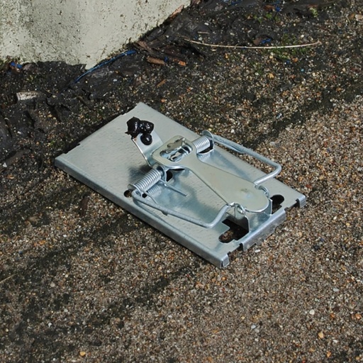 STV - All-Metal Selfset Mouse Trap - Twinpack