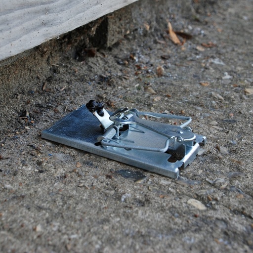 STV - All-Metal Selfset Mouse Trap - Twinpack