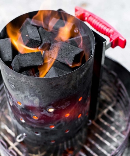 ProQ - Cocoshell Charcoal Briquettes 10kg