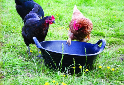 Red Gorilla - Tyre Rubber Baskets & Skips - Medium