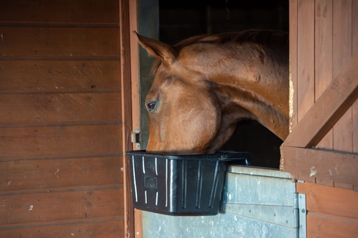 Red Gorilla - Tyre Rubber Manger & Troughs - Hanging Portable