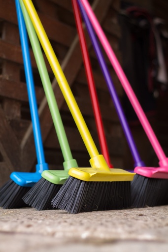 Red Gorilla - 30cm broom head and handle -Blue