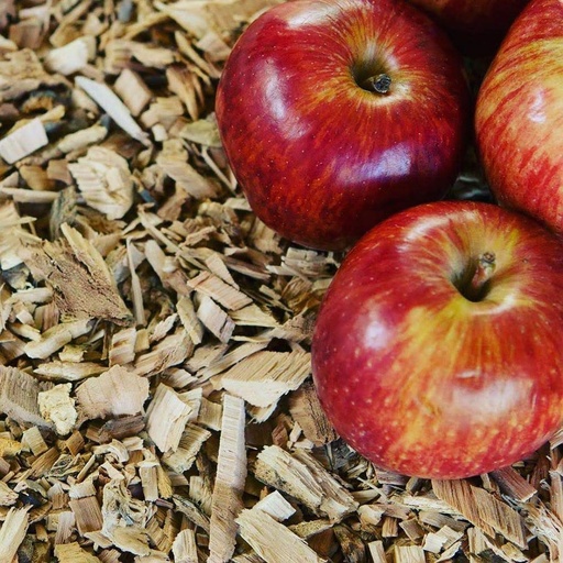 ProQ - Smoking Wood Chips - Apple - Bag (400g)