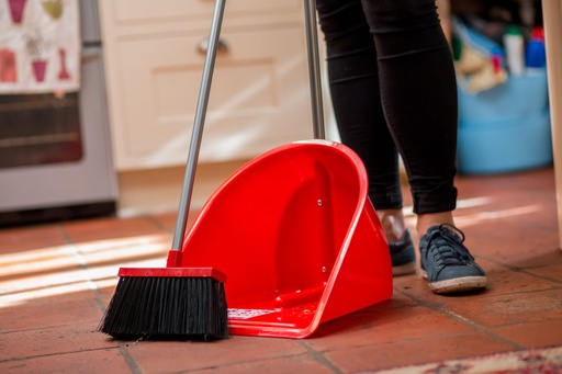 Red Gorilla - Tidee Companion Set - Red (Tidee + Rake + Broom)