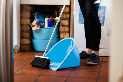 Red Gorilla - Tidee Companion Set - Sky Blue (Tidee + Rake + Broom)