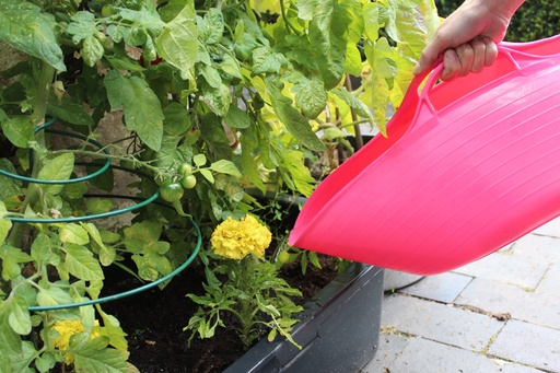 Red Gorilla - Tubs & Recycled Black Tubs - Small Shallow 15L Pink