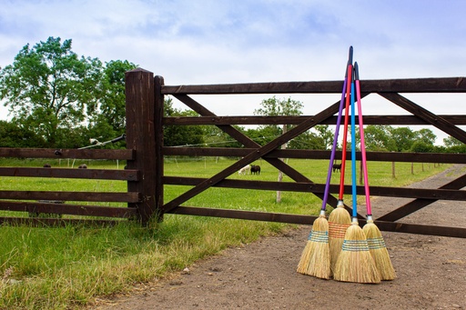 Red Gorilla - Corn Brooms - Large (NEW 120CM HANDLE PURPLE)