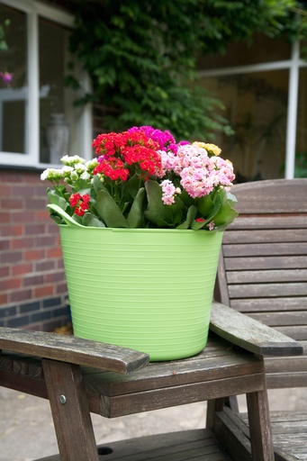 Red Gorilla - Gorilla Tubs & Recycled Black Tubs - 14L -Pistachio
