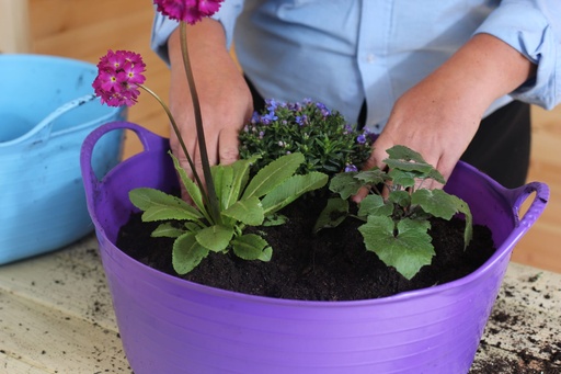 Red Gorilla - Gorilla Tubs & Recycled Black Tubs - Small Shallow 15L- Purple