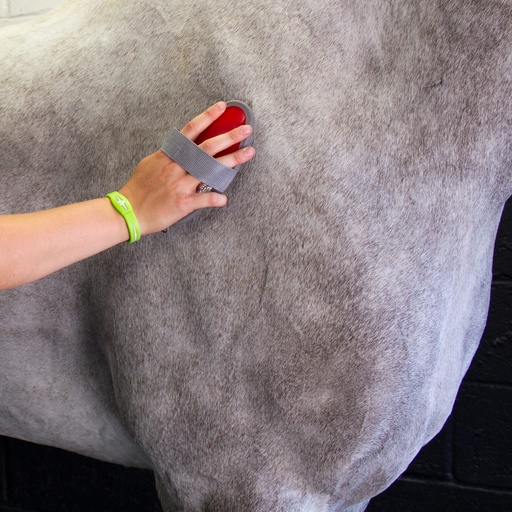 Red Gorilla - Grooming - Body brush