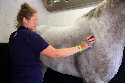 Red Gorilla - Grooming - Body brush