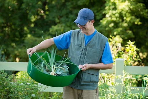 Red Gorilla - Gorilla Tubs & Recycled Black Tubs - Large Shallow 35L- Green