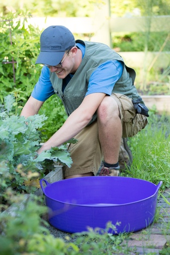 Red Gorilla - Gorilla Tubs & Recycled Black Tubs - Large Shallow 35L- Purple