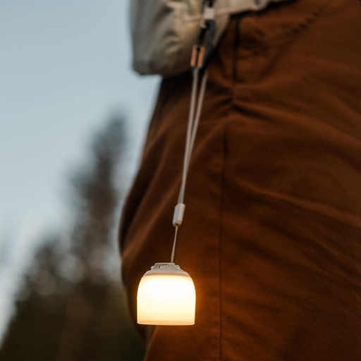 Barebones - Multi-Color Mini Light
