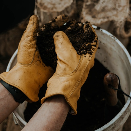 Barebones - Classic Work Glove Olive