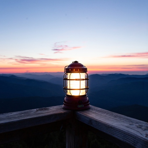 Barebones - Forest Lantern Teal