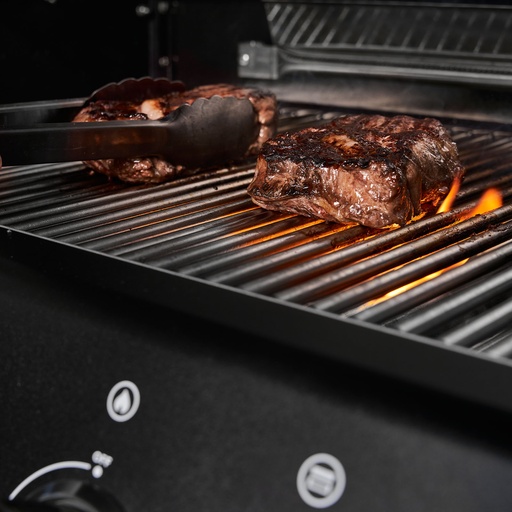 Burnhard - Big EARL - 4-Burner Premium Gas Grill 2025 Black with Stainless Steel Grill Grate