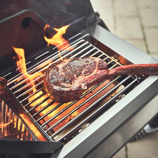 Burnhard - Big EARL - 4-Burner Premium Gas Grill 2025 Stainless Steel with Stainless Steel Grill Grate